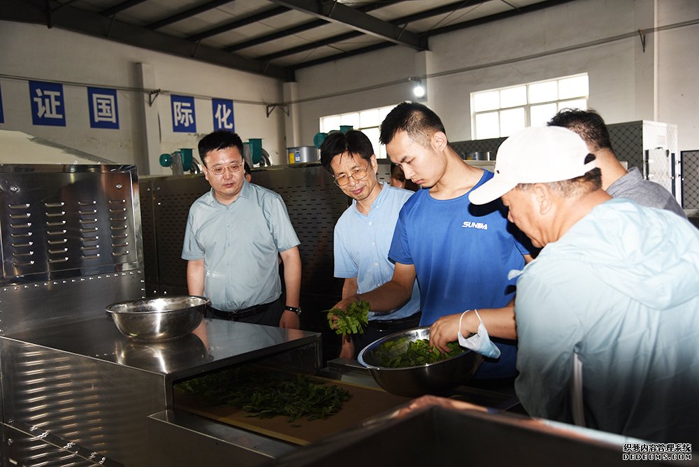 国家农业部、陕西省农业厅领导莅临圣达考察(图9)